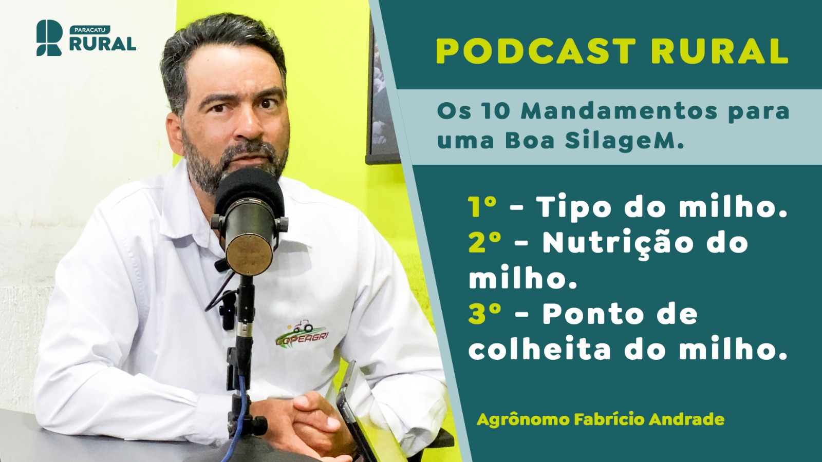 Os 10 Mandamentos para uma Boa Silagem de Milho: Tipo do milho - 2º Nutrição - 3º Ponto de colheita