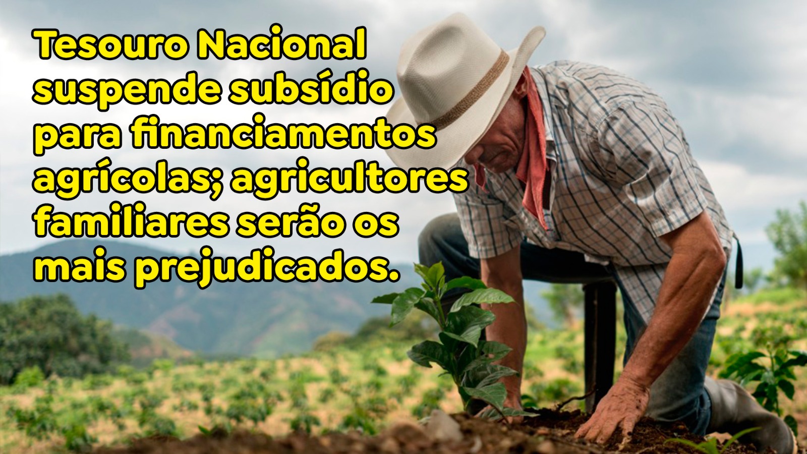 Tesouro Nacional suspende subsídio para financiamentos agrícolas